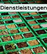 Dienstleistungen