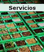 Servicios