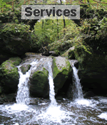 Services