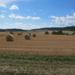 Concepcin, planeacin e instrumentacin de experemientos en campo